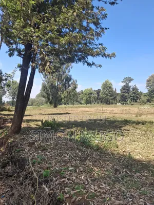 Eneo la Prime 5 Eka Rironi, Limuru Linauzwa