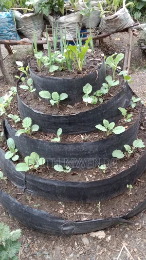 Modern Agriculture Practices Course