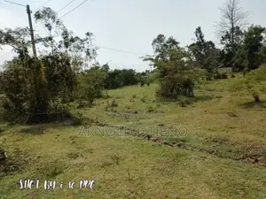 Ardhi Nzuri ya Kilimo Inauzwa - Homa Bay Mashariki