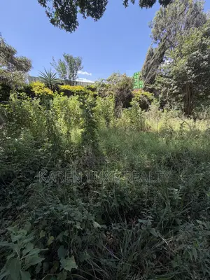Eneo la Biashara 0.5 Eka kwa Kukodisha - Karen, Ngong Road
