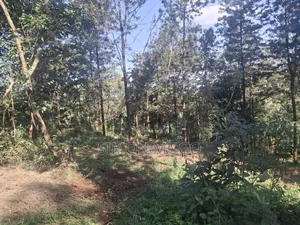 Kiwanja cha Mwimuto Prime Commercial/Residential - 50x100 Freehold