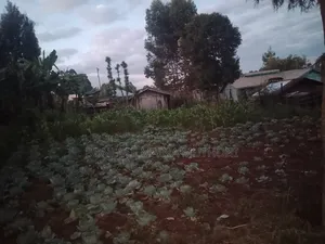 Eneo la 3754 Sq Ft la Matumizi Mchanganyiko Linauzwa Kabare