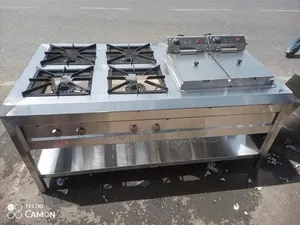 Combined Commercial Cooking Unit - 4 Burner + Double Fryer