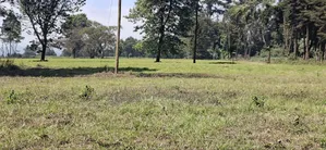 Eneo la Eka 5 za Kimaendeleo - Tilisi, Kiambu