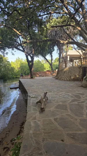 Vipande Bora vya Robo Eka kwa Uuzaji Shanzu Karibu na Mfereji