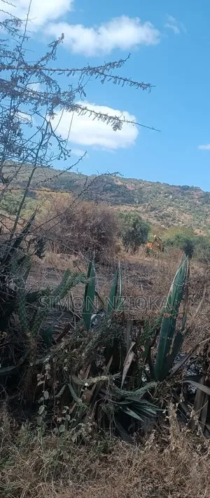 Eneo la Eka 27 za Biashara, Barabara ya Mombasa