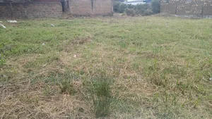 Vipande Bora vya 50x100ft Vinauzwa Ongata Rongai Gataka Road