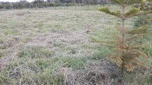 1 Acre Prime Land for Sale in Ongata Rongai, Maasai Lodge