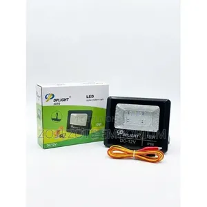 10W DC Floodlight - Dp Light 3010