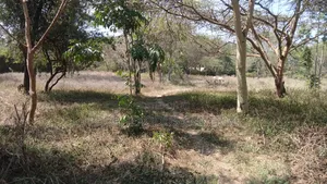 Viwanja Bora vya 1/4 Eka kwa Uuzaji Ongata Rongai Town