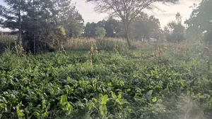 Vipande Bora vya 1/8 Eka kwa Uuzaji Ongata Rongai Rimpa