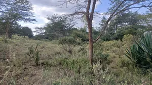 Vipande vya 1/8 Acre Vinauzwa Ongata Rongai Nkoroi