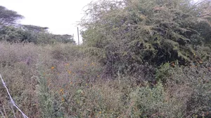 Vipande vya 1/8 Eka kwa Uuzaji Ongata Rongai