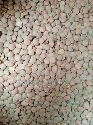 Kamande/Lentils - Zinapatikana kwa wingi