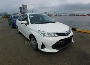 Toyota Axio 2019
