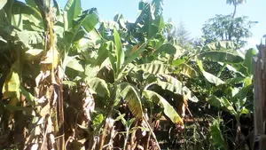 Vipande Bora vya Ardhi Vinauzwa Nairobi Area, Eldoret