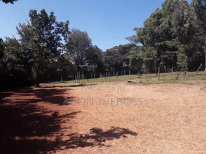 1/4 Acre Land for Sale in Matasia
