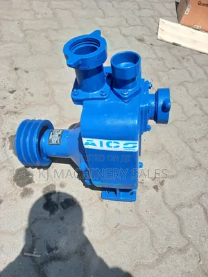 Aico Bare Pump 2-inch