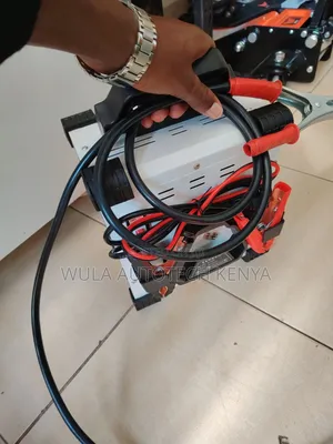 Yichen High Tech 12V/24V Heavy Duty Automatic Battery Charger