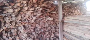 Firewood for Sale - Diverse Varieties