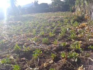Ardhi ya Prime 1/8 Acre Nakuru