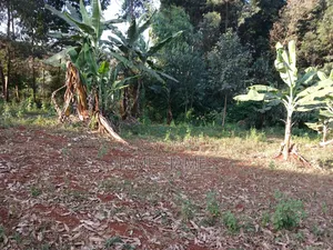 Kitalu cha 50x100ft Kinachouzwa Karibu na Kikuyu Road Shell