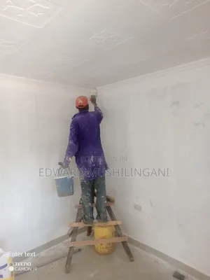 Professional Painting Services