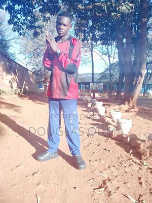 Mtaalamu wa Mauzo na Masoko Anatafuta Fursa