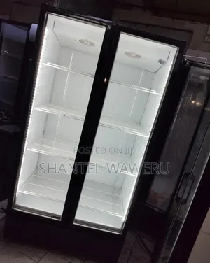 2 Door Display Refrigerator - 1000 Litres