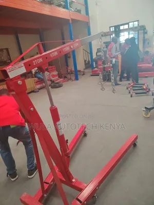 Heavy Duty Steel Engine Crane Hoist with Safety Chain