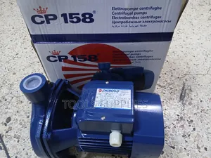 Pedrollo 1 HP Water Pump