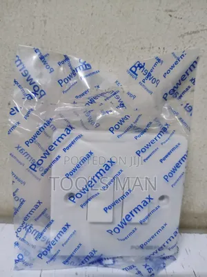 PowerMax 2-Gang Wall Light Switch