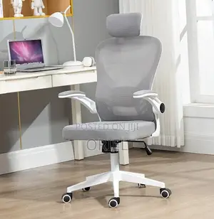Kiti cha Ofisi cha Ergonomic cha Kijivu