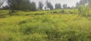 Eka 18 za Ardhi ya Kilimo kwa Uuzaji - Hifadhi ya Taifa ya Aberdare