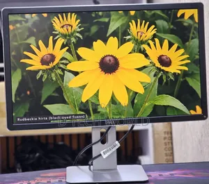 Dell P2414H 24-Inch Framed Monitor