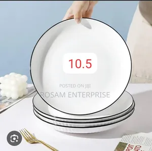The Famous Japanese Dinning Plates 10.5" Big Size 6pc