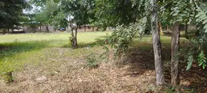 Ardhi Bora ya Biashara Inauzwa - Diani Markuz