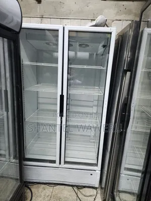 Friji la Kuonyesha Biashara - 1000L Mlango Mbili
