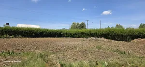 Kiwanja Prime cha 1/4 Acre kwa Mauzo Chepkanga, Eldoret