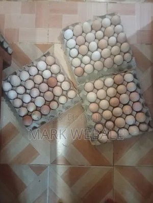 Mayai ya Kuku wa Kienyeji - 500 kwa treya