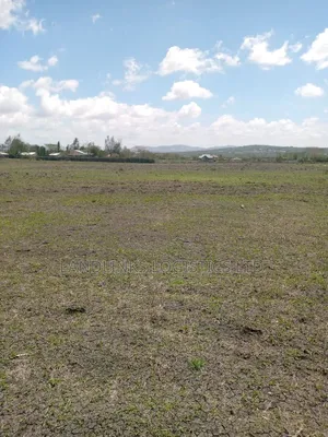 Konza Aimi Ma Kilungu Eka 10 Zenye Hati