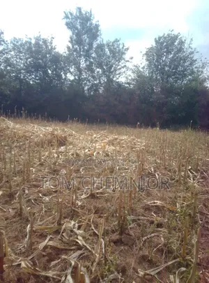 Vitia vya Uuzaji - Rafiki Farm (Eneo la Kabarak)