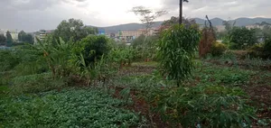 Vipande vya Ardhi Vinauzwa Kiserian Town