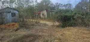 Vipande vya Kashani - Ardhi ya Makazi 40x80ft