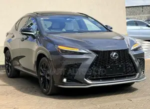 Lexus NX 2022 Kijivu