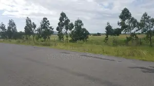 210 Acres Fertile Land for Sale - South Coast