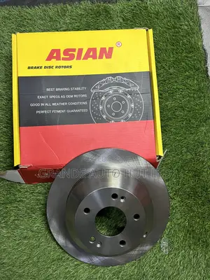 Brake Disc ya Nyuma kwa Hyundai Santa Fe/Sorento (2013)