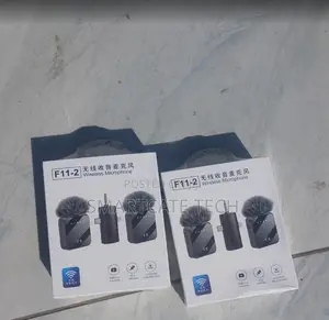 F11-2 Wireless Microphone Plug and Play (Dual Mic)