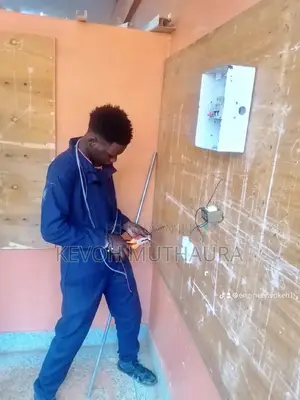 Electrical Repair and Installation Services