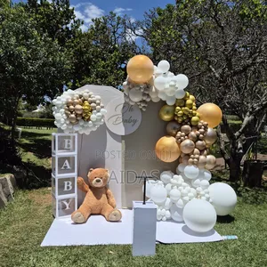 Gender Reveal Backdrop Setup Decor